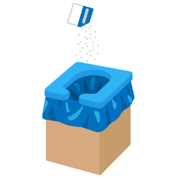 Best Porta potty delivery and setup  in La Grulla, TX