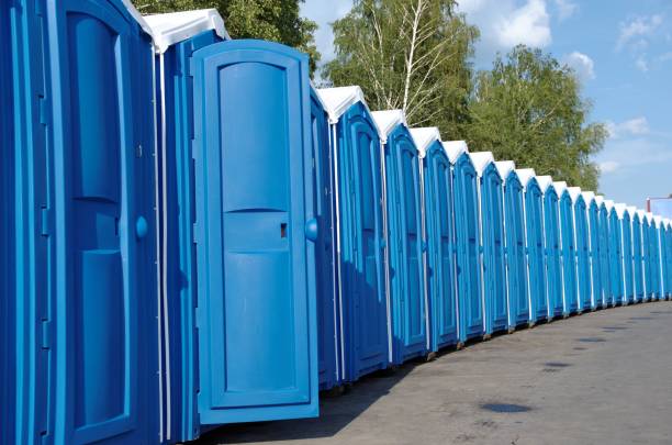 Best Affordable portable toilet rental  in La Grulla, TX